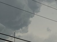 IMG_9730.JPG