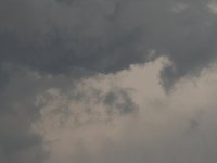 IMG_9743.JPG