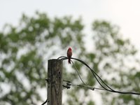 IMG_9759.JPG