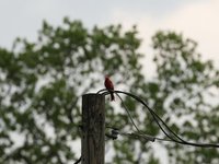 IMG_9760.JPG