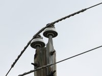 IMG_9781.JPG