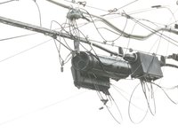 IMG_9786.JPG