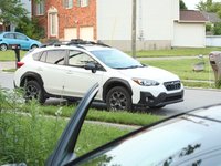 IMG_9944.JPG