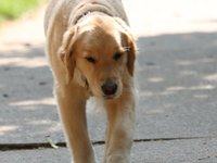 IMG_0047.JPG
