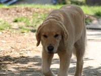 IMG_0053.JPG