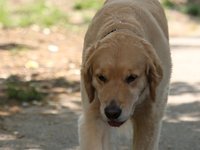 IMG_0055.JPG