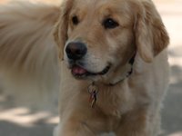 IMG_0058.JPG