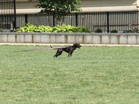 IMG_9948.JPG