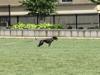 IMG_9949.JPG