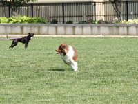 IMG_9950.JPG