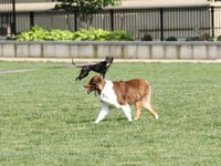 IMG_9952.JPG