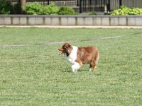 IMG_9954.JPG