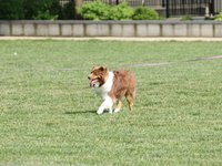 IMG_9955.JPG