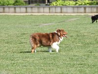 IMG_9960.JPG