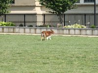 IMG_9961.JPG