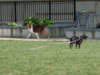 IMG_9970.JPG