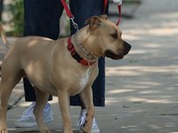 IMG_9979.JPG