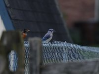 IMG_0076.JPG