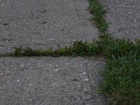 IMG_0083.JPG