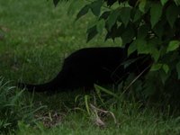 IMG_0088.JPG