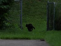 IMG_0090.JPG