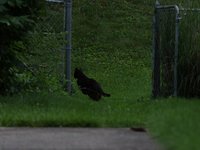 IMG_0091.JPG