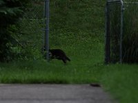 IMG_0092.JPG