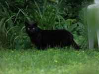 IMG_0103.JPG