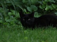 IMG_0112.JPG