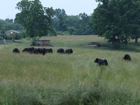 IMG_0122.JPG