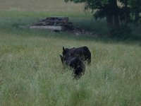 IMG_0125.JPG