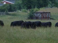 IMG_0129.JPG