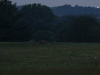 IMG_0145.JPG