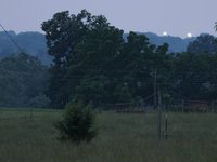 IMG_0155.JPG