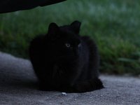 IMG_0192.JPG