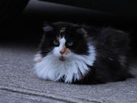 IMG_0196.JPG