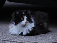 IMG_0204.JPG