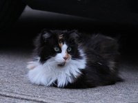 IMG_0209.JPG
