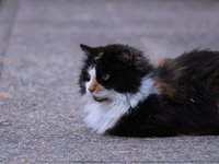 IMG_0216.JPG
