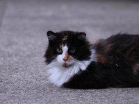 IMG_0226.JPG