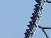 IMG_0768.JPG