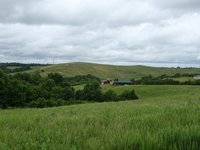 IMG_0874.JPG