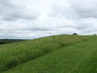 IMG_0875.JPG