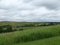 IMG_0877.JPG