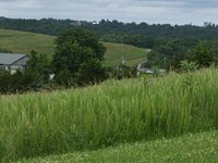 IMG_0888.JPG