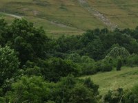 IMG_0891.JPG