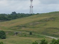 IMG_0895.JPG