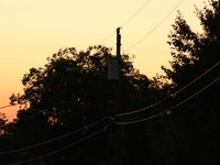 IMG_0907.JPG