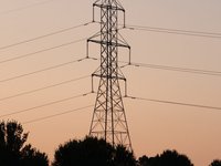 IMG_0920.JPG