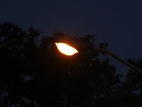 IMG_0930.JPG